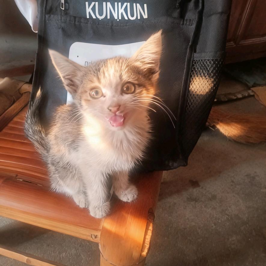 ( ´•.• ` )