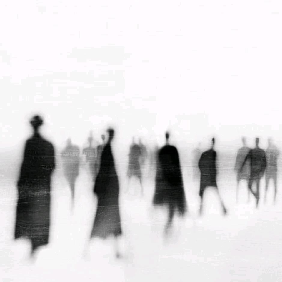 ㅤㅤ林深时见鹿