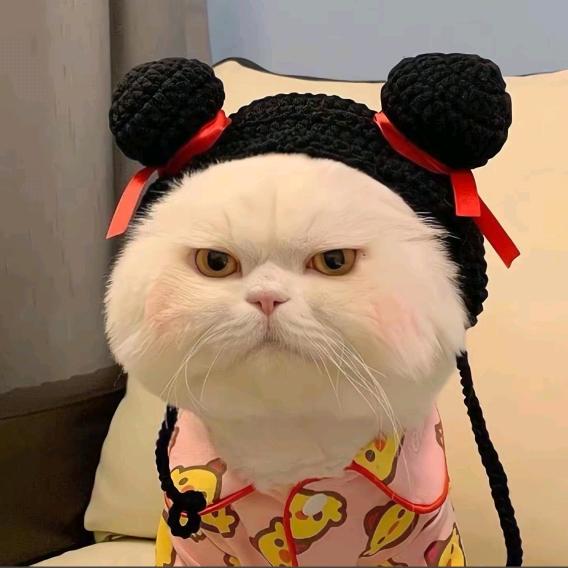 石板路有雾