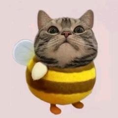 小王小王