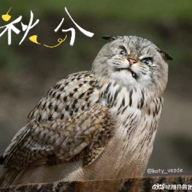 把妳最爱的歌来轻轻唱