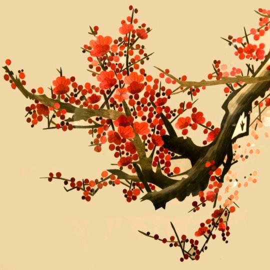 伊枝梅