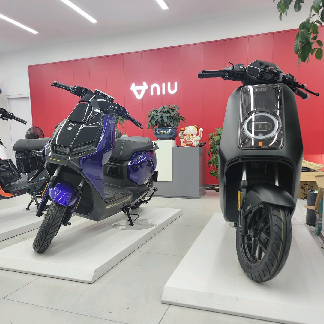 鸭哥在浏阳卖电动车