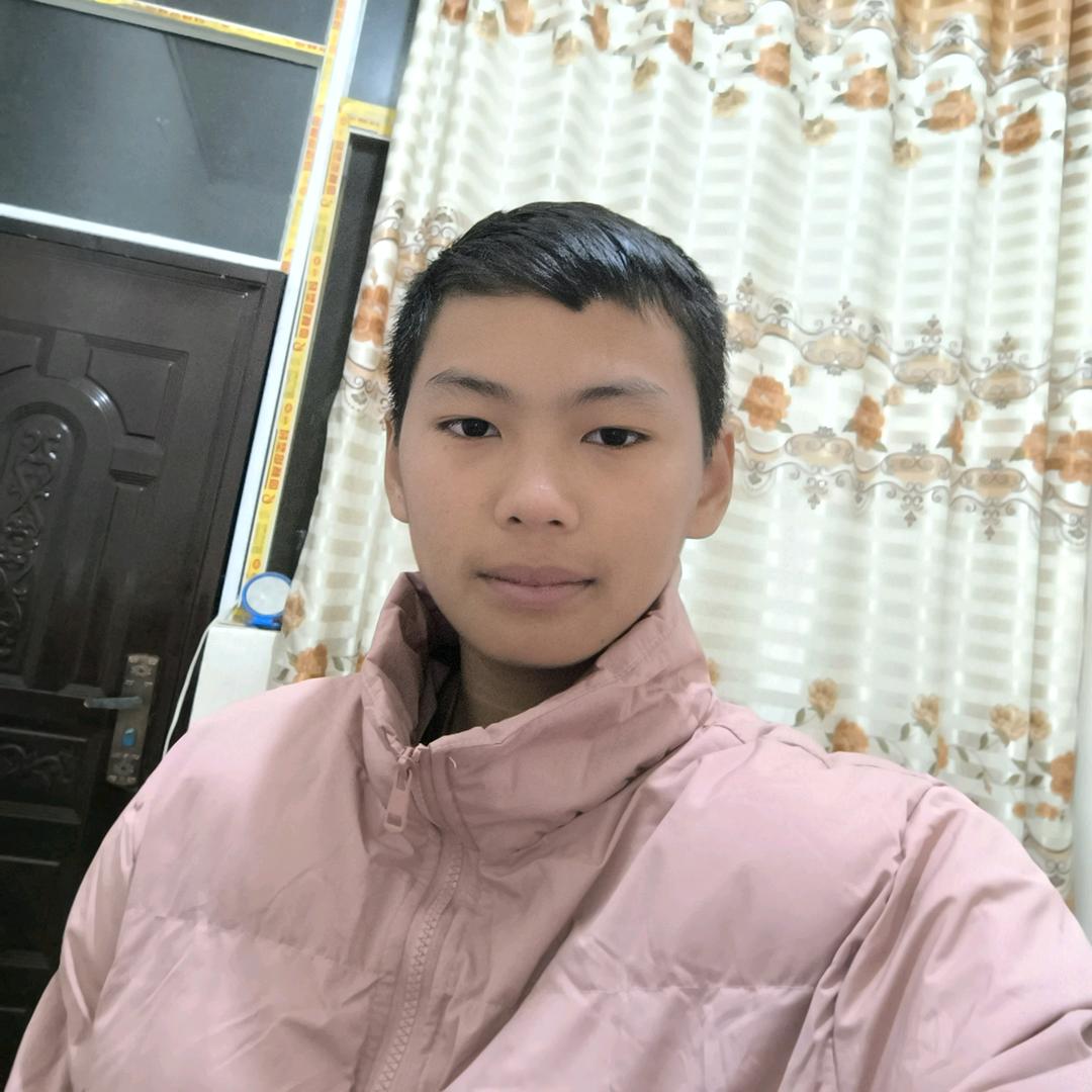 宝显龙