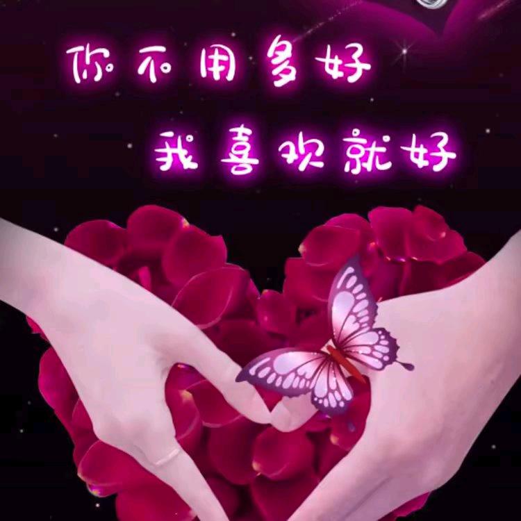 🇨🇳神鹰🇨🇳
