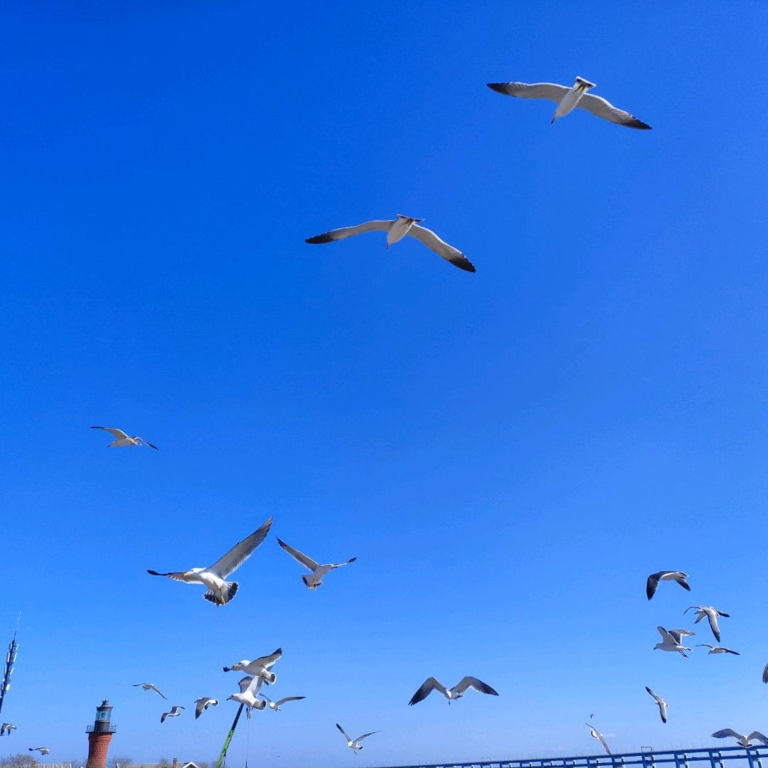 🦅易🦅学🦅小🦅生🦅