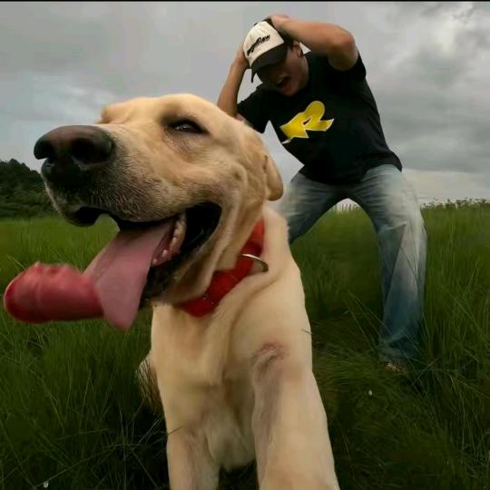 开心就吃小蛋糕