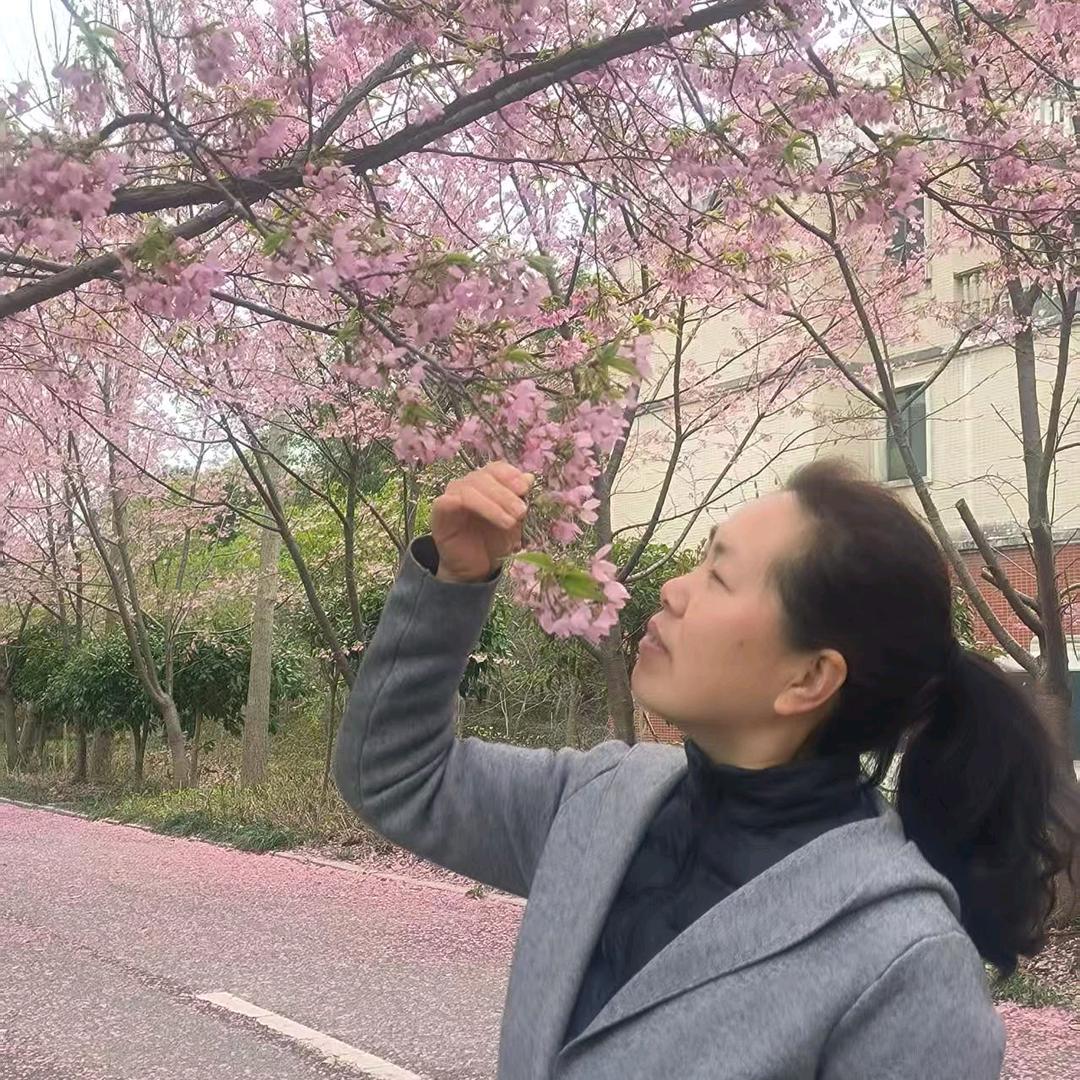 大龙与小虫