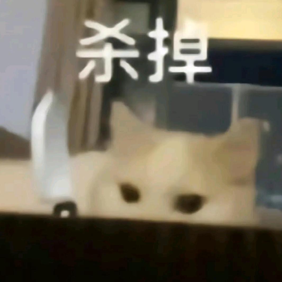啵酱香牛肉饼
