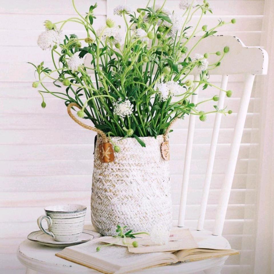 养蜂爱好者老李