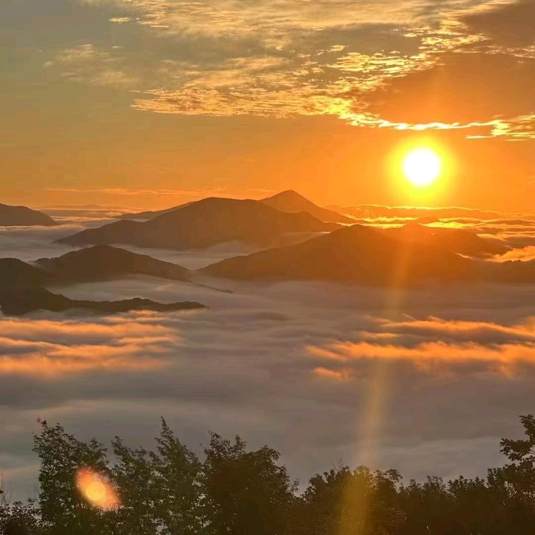 老赵…的朋友圈