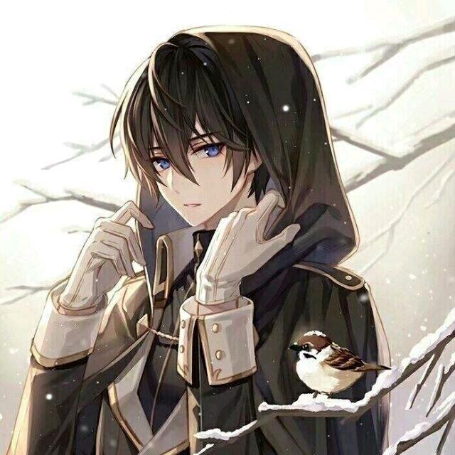 提莫