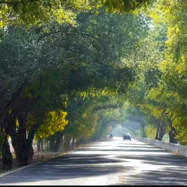 听着音乐去旅行