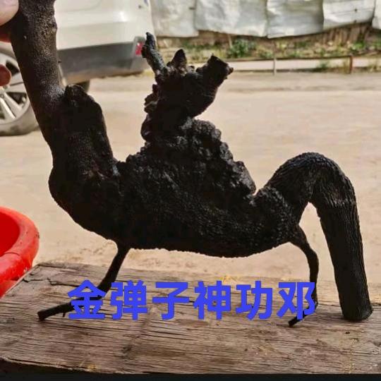 金弹子神功邓
