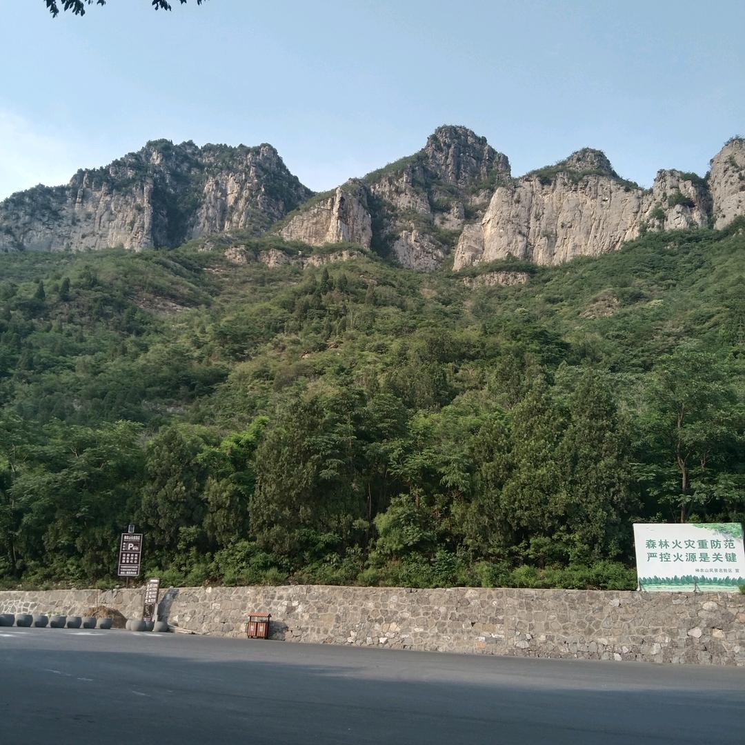 竹影清风