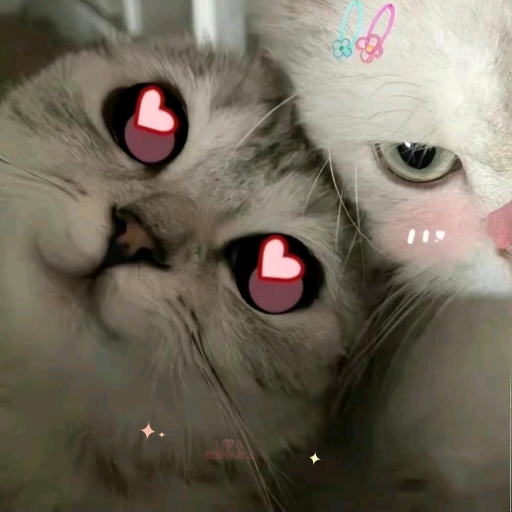 深入