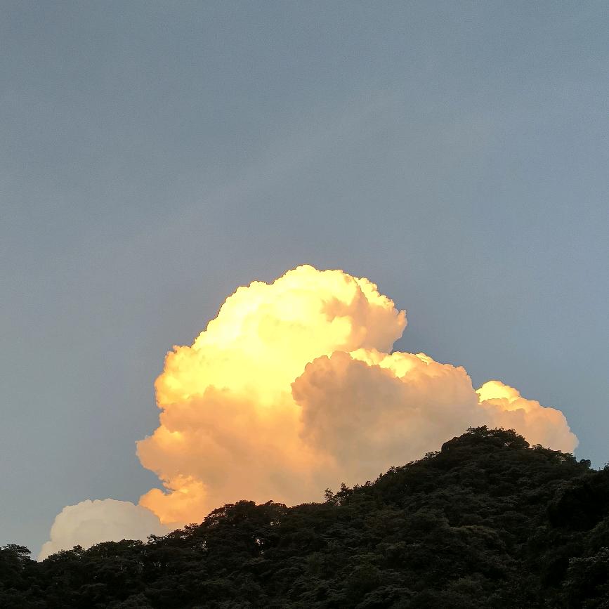 🌜孤单久了会上瘾🌛