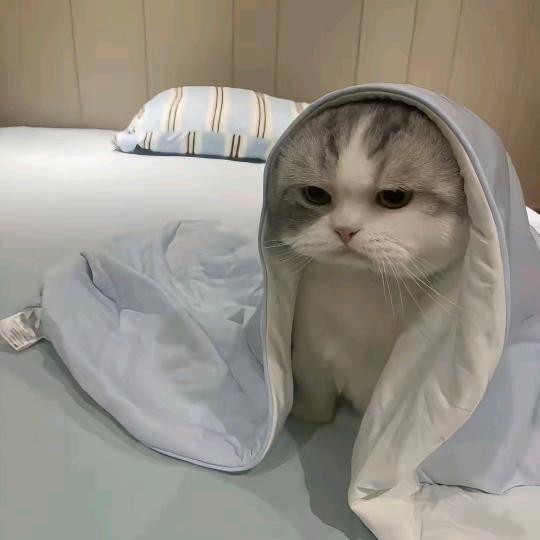 结，伴