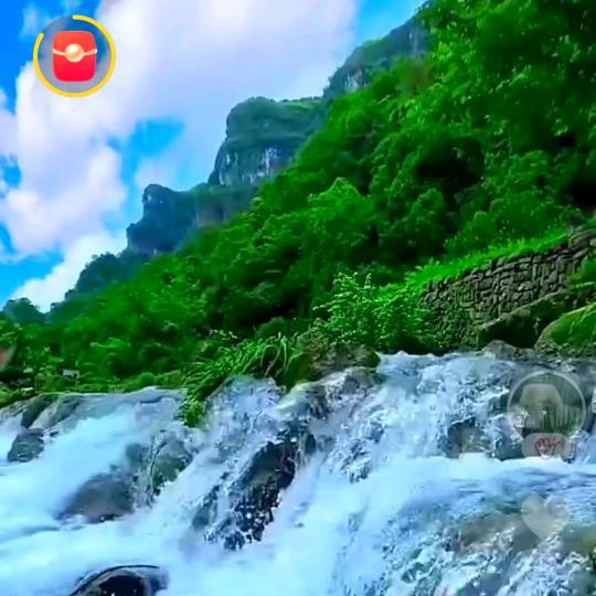 小儿推拿段老师