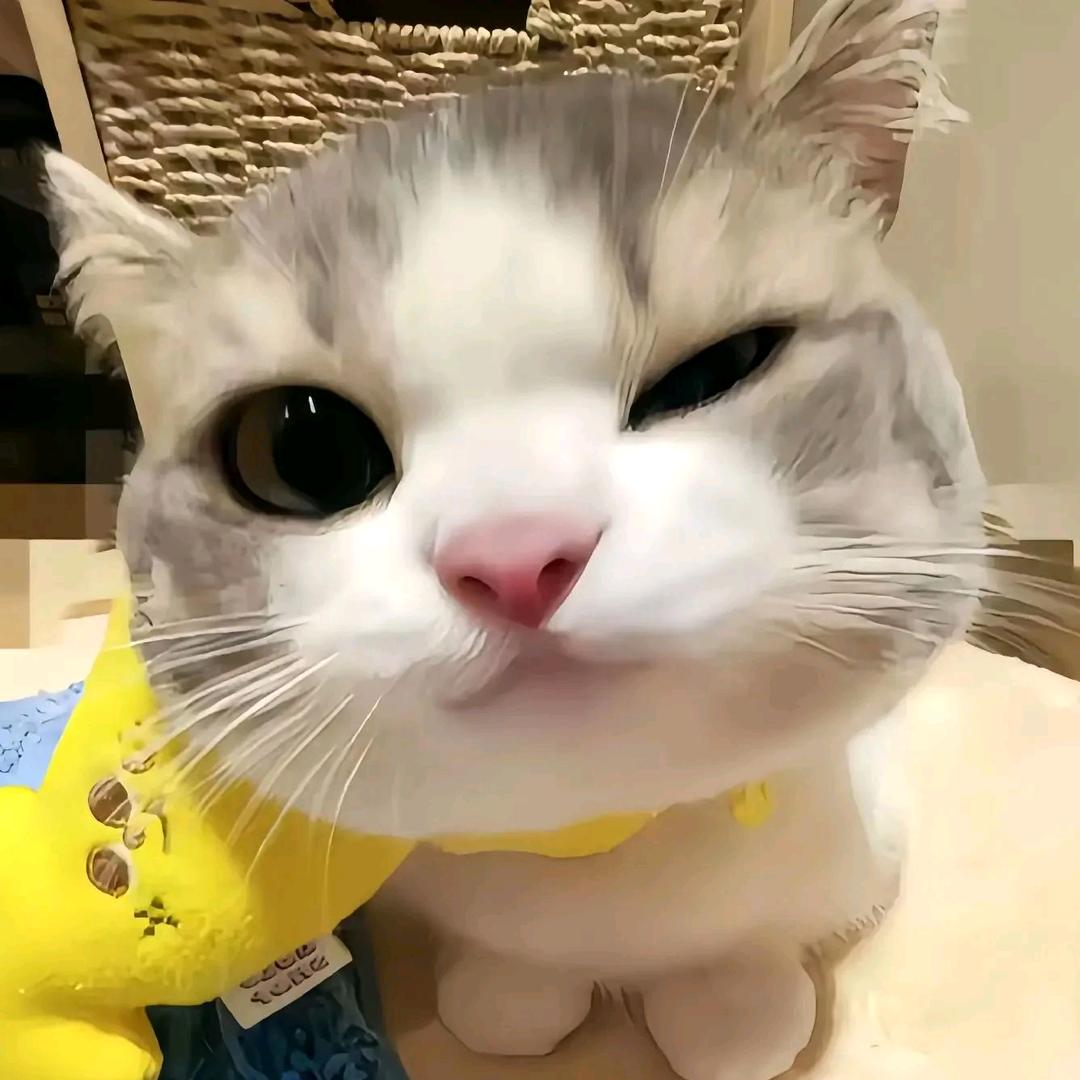 璟玉大王