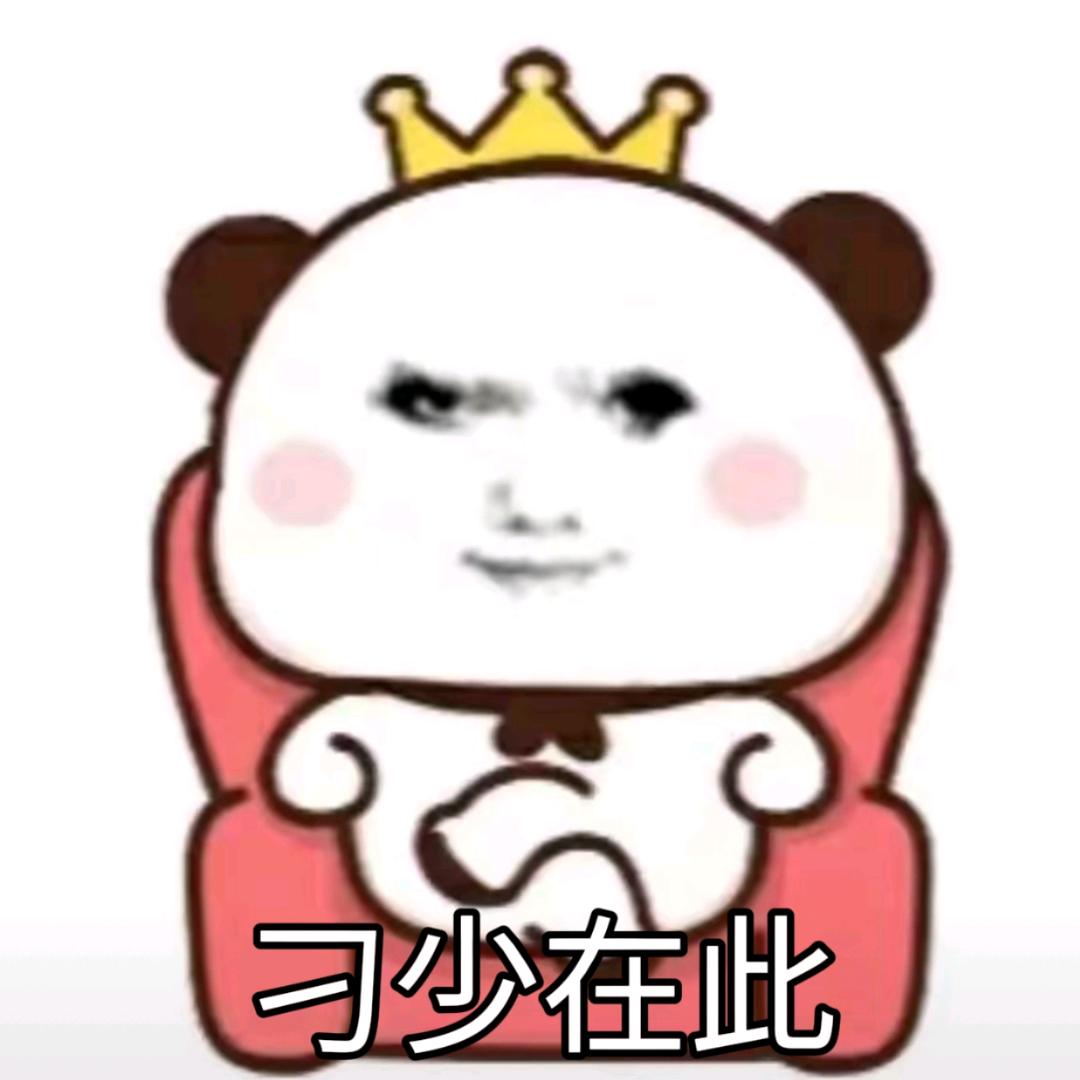 Dd1y