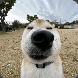 过