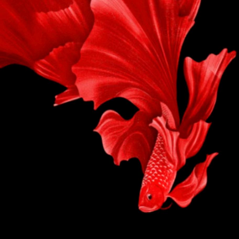 风语者@@@