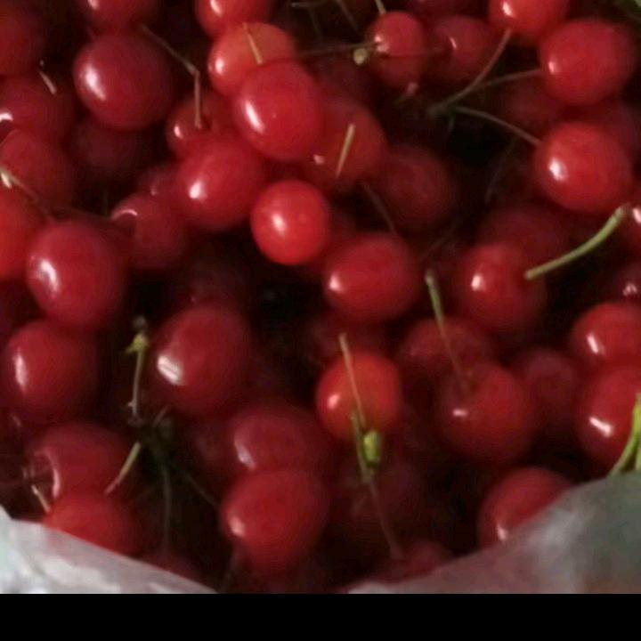 宝妈早上1130开直播