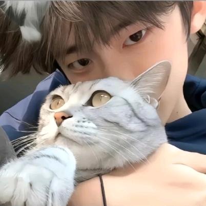 牛顿                🪳