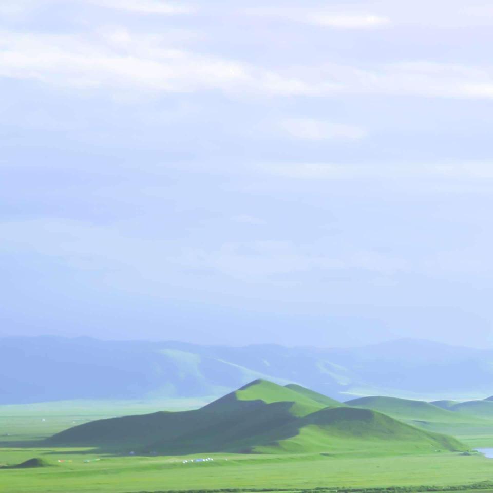 莲