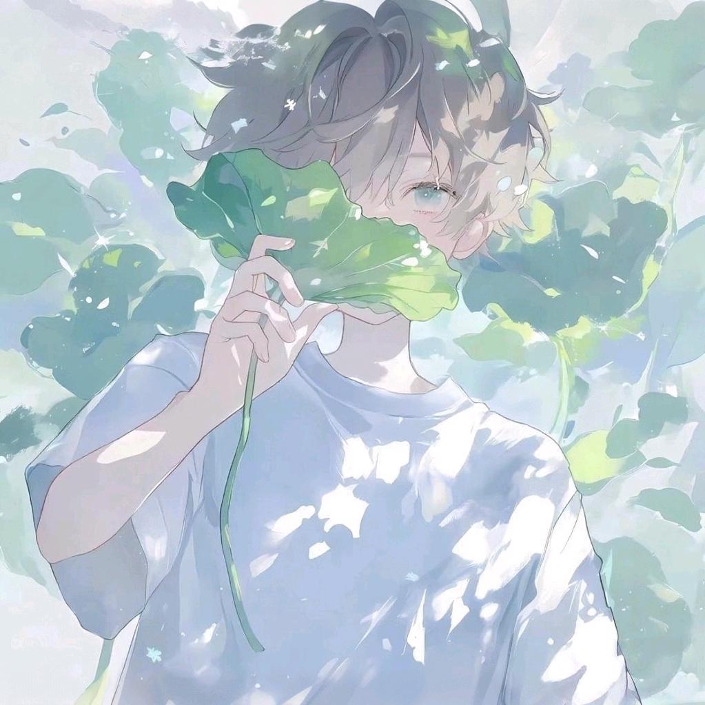 屿.
