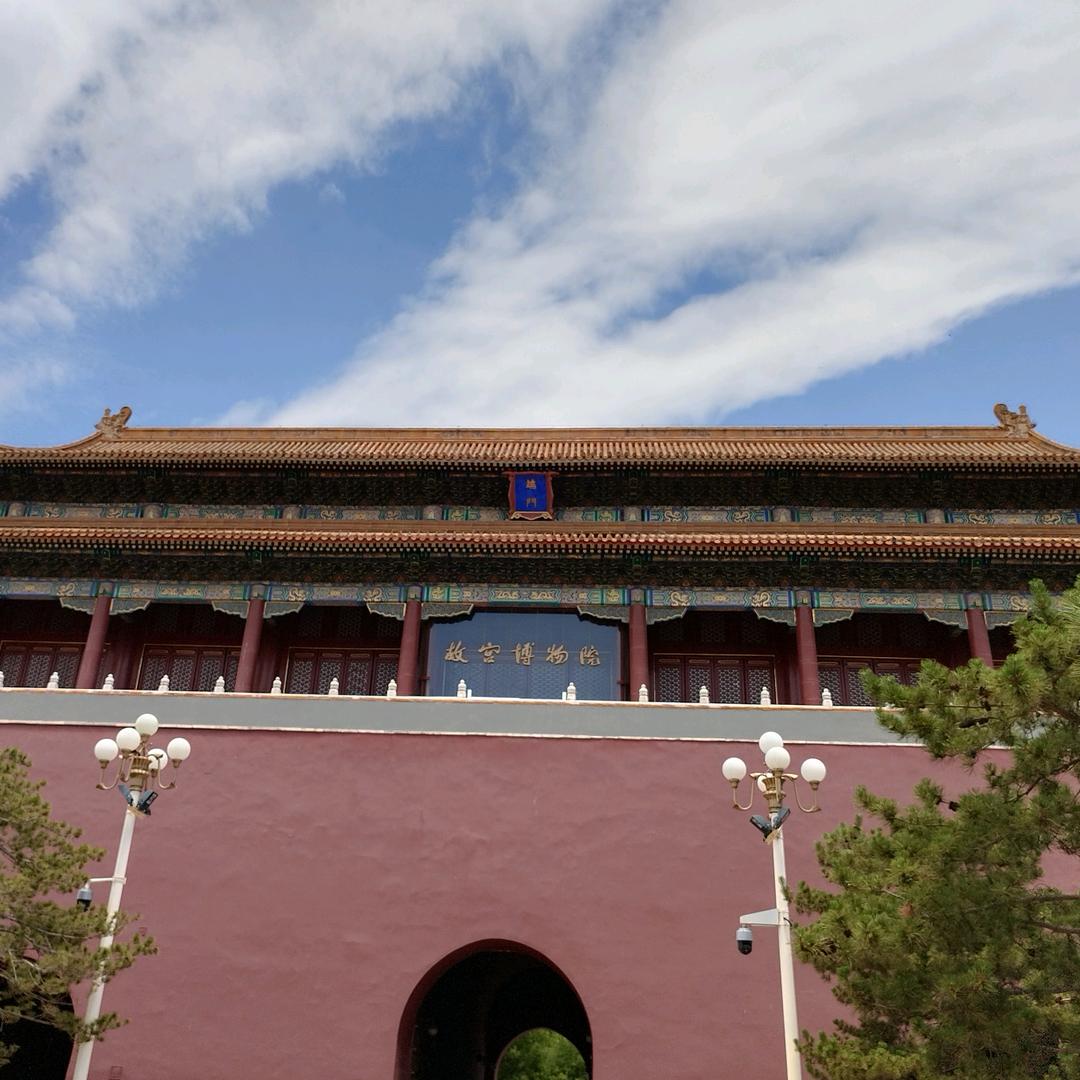 向阳幸福🌸花🌸