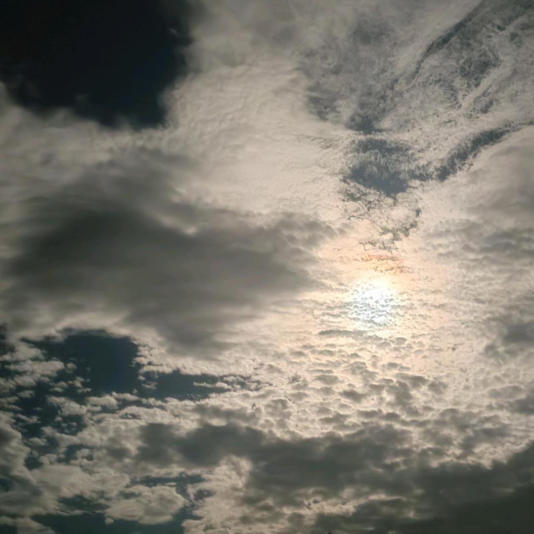 沐语