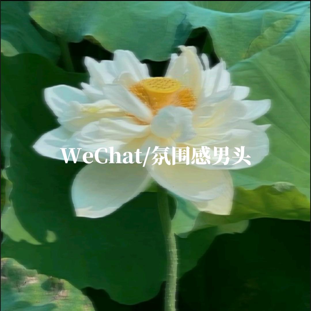 胆小懦弱害怕暴力的害羞卑微腼腆蕾丝人父