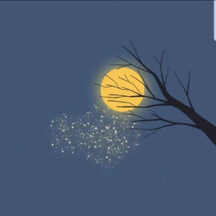 晓伟（河南信阳）