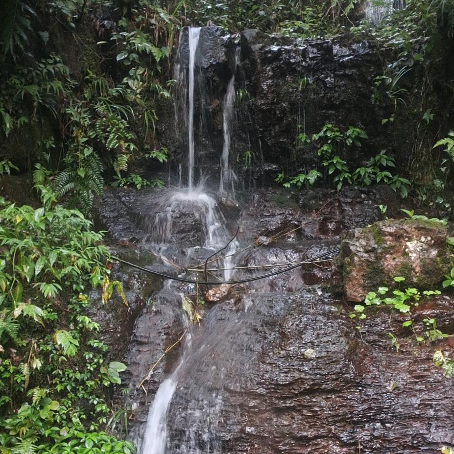 漓泉啤酒节现场