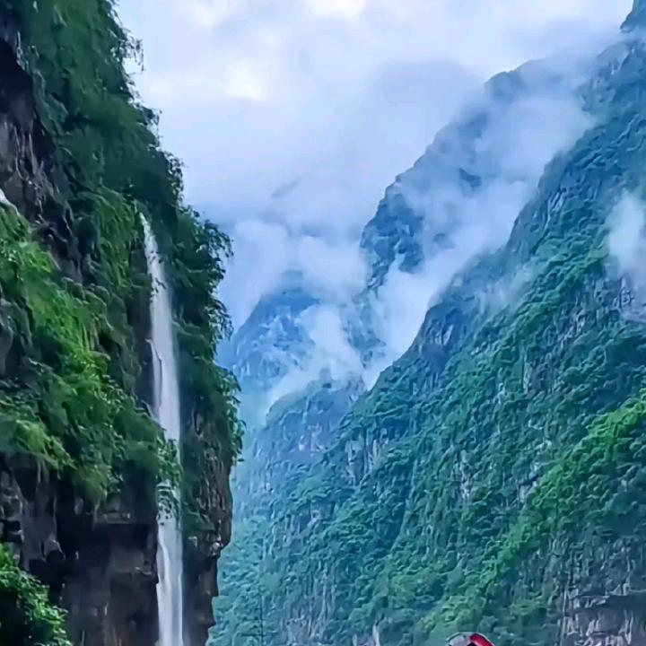 白开水（首香播22:10)
