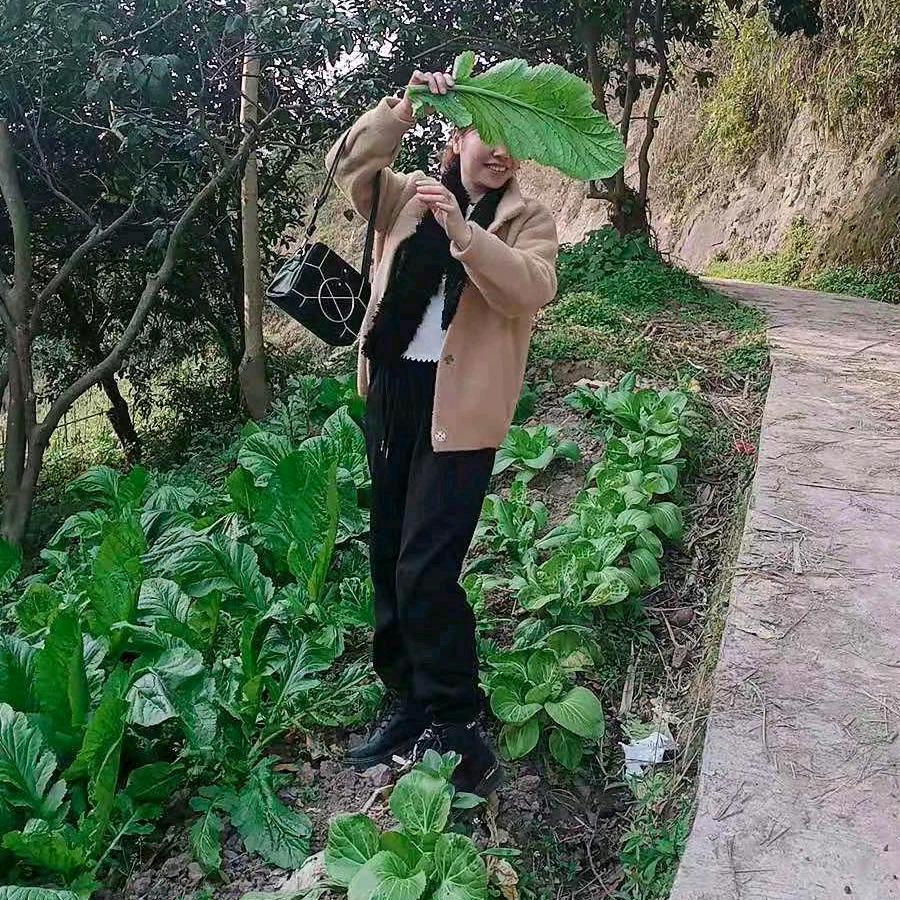 古月橱窗好物