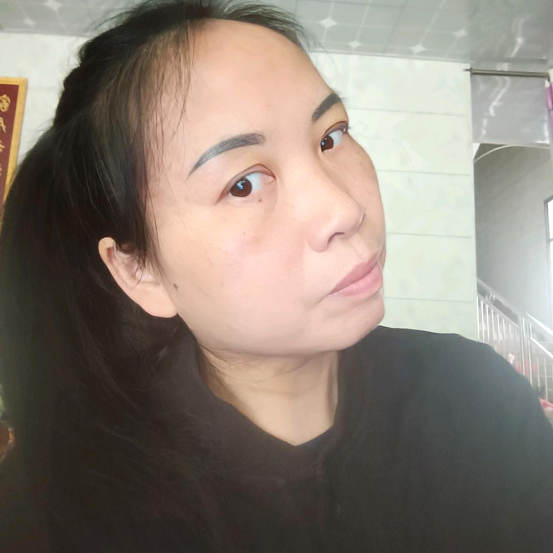 折翅的燕子