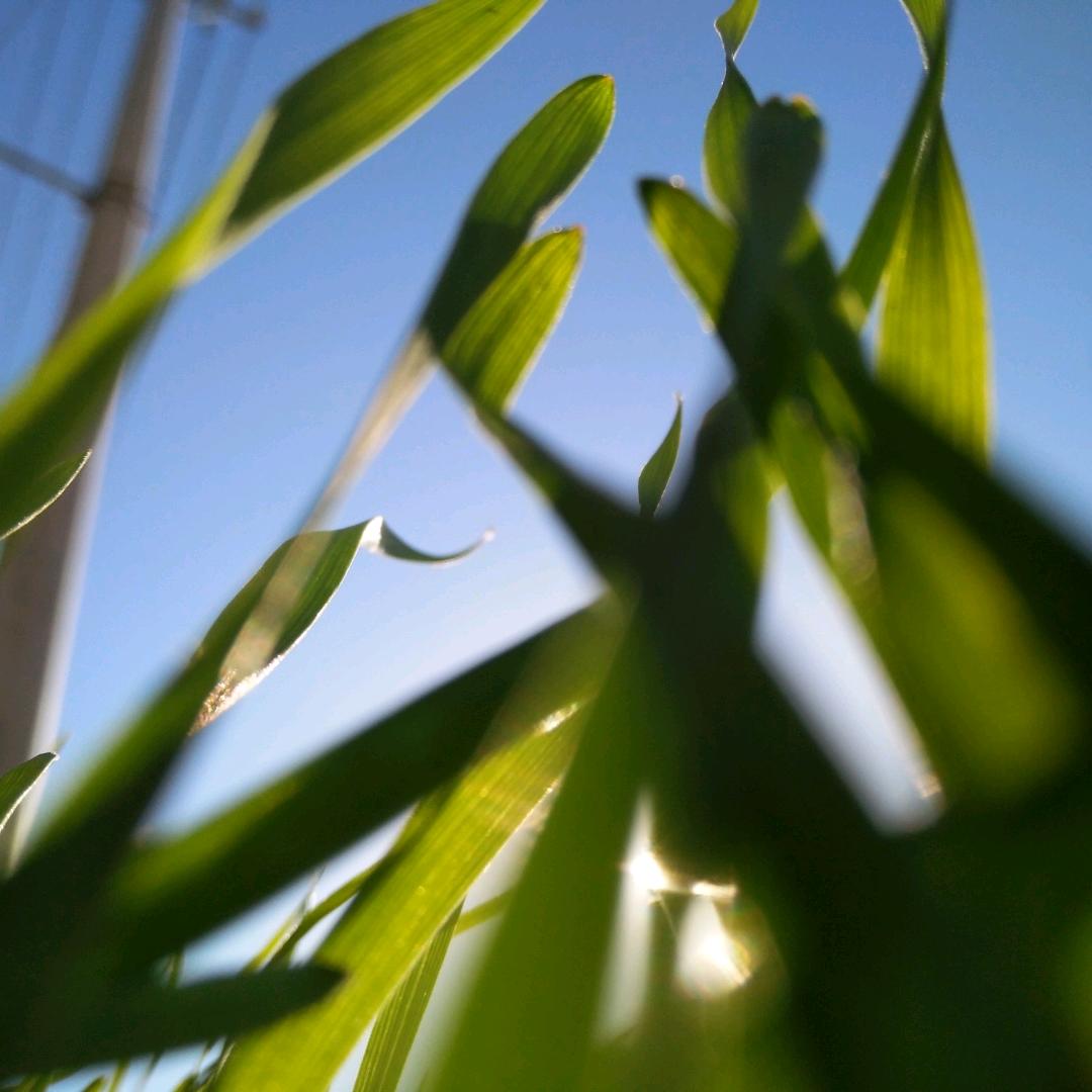 老板集团名气现代厨房清丰店