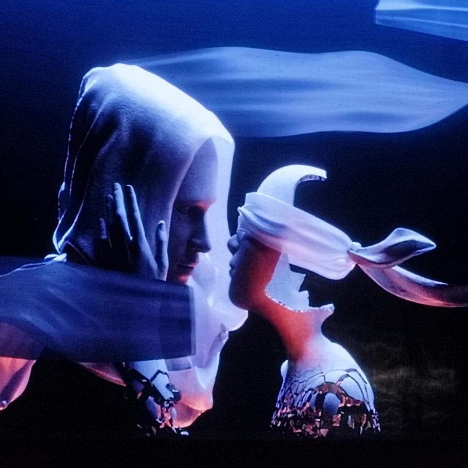 伊甸园里面睡觉的小瓜