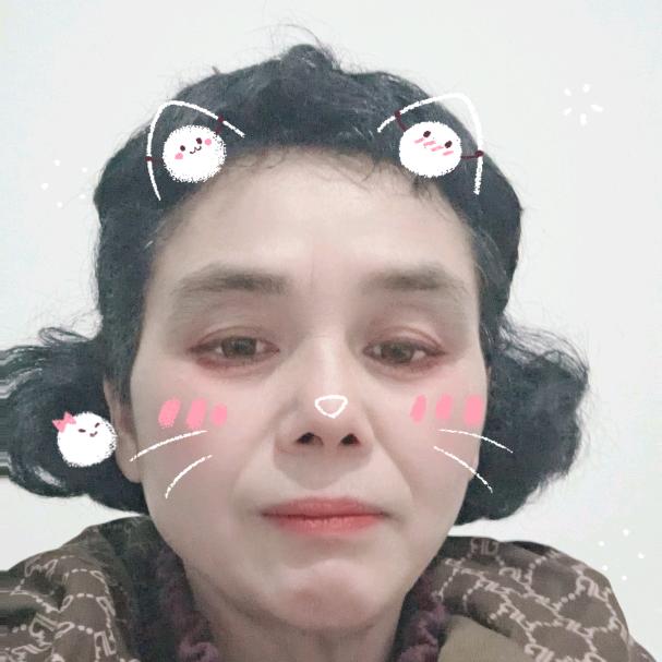 九月菊花