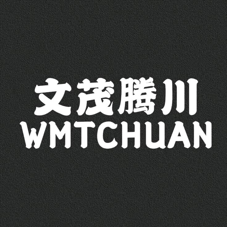 文茂腾川汽车配件专卖店