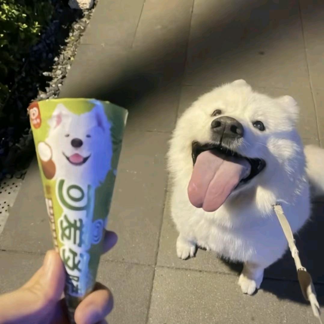 Derek ddy（成功人士版）