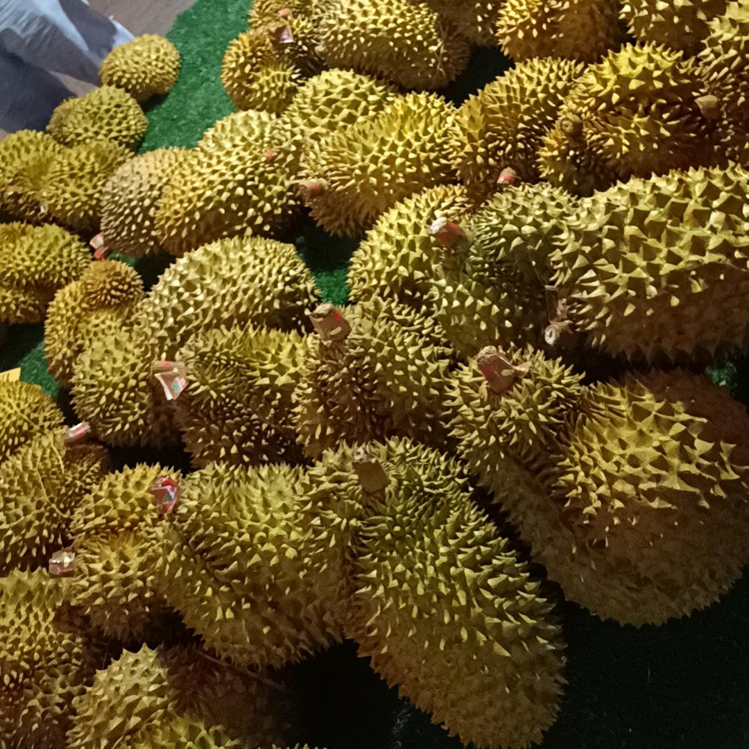 巨爱吃榴莲