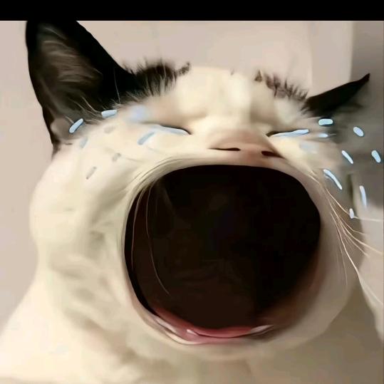 性感小姨子