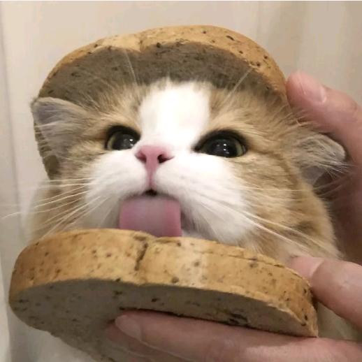 洛阳鼎成公考詹詹老师