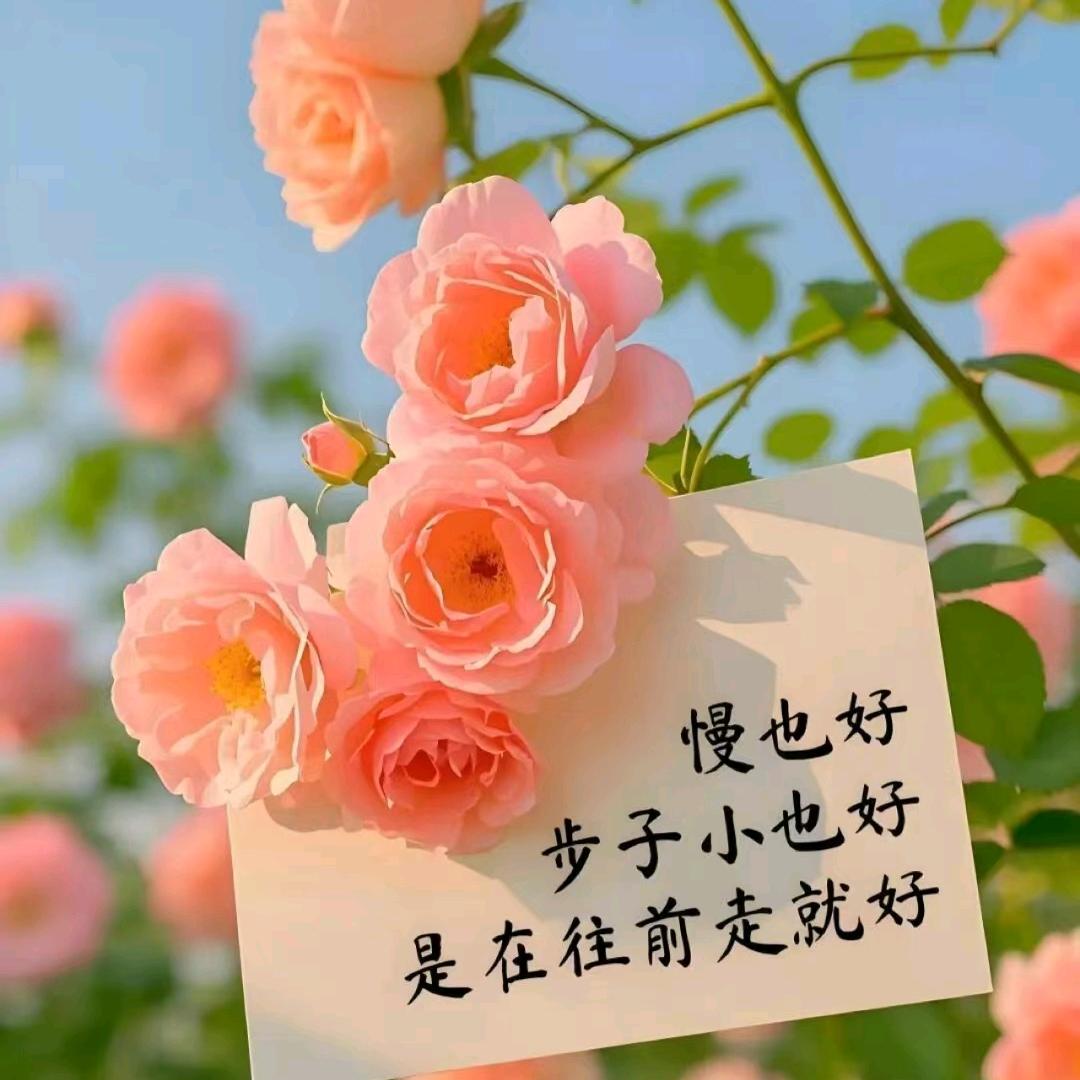金色农谷夏天