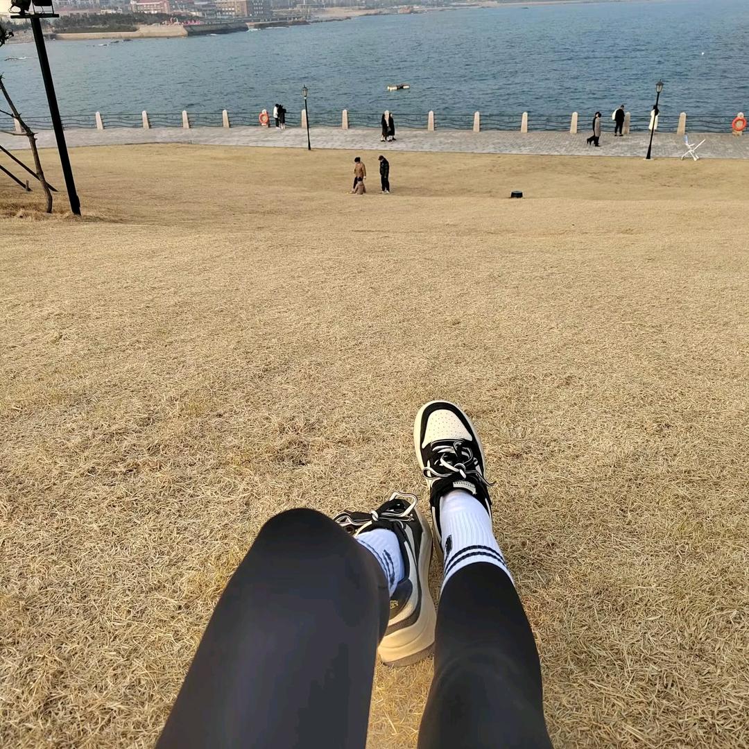 乌木沉香