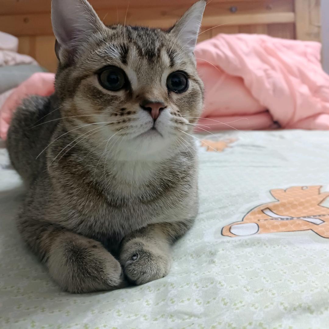 疯狂世界
